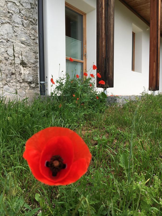 Der Weber - Haus Der Zukunft Apartment แฮร์มากอร์ ภายนอก รูปภาพ